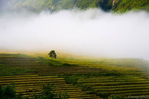 Y Tý mùa lúa chín vẻ đẹp chưa được khai phá