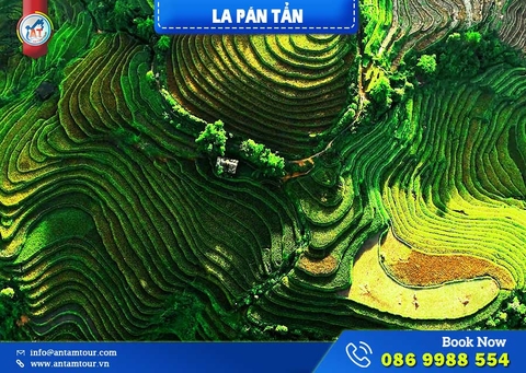 La Pán Tẩn Mù Cang Chải