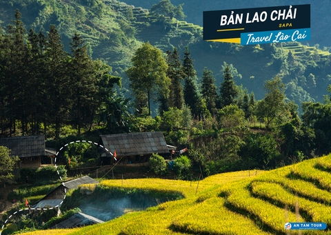 Bản Lao Chải Sapa