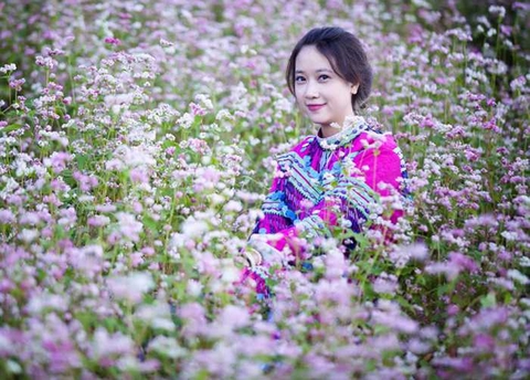 SỰ TÍCH VỀ HOA TAM GIÁC MẠCH HÀ GIANG