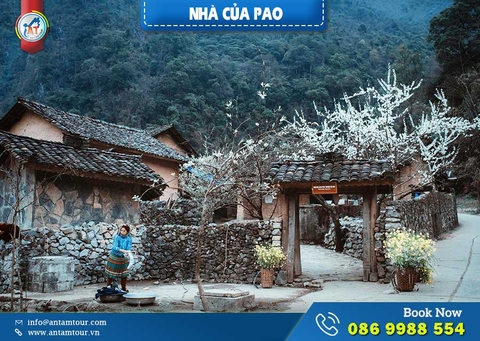 Nhà Của Pao