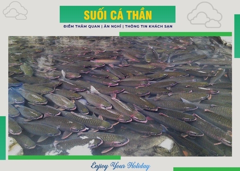 Suối Cá Thần - Thanh Hóa