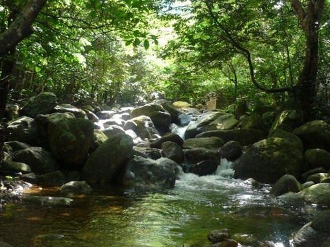 Suối Giải Oan - Bí ẩn của đại ngàn Yên Tử