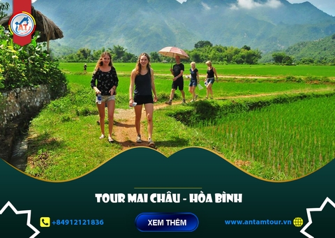 CÔNG TY CHUYÊN TỔ CHỨC TOUR MAI CHÂU HÒA BÌNH