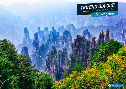 Trương Gia Giới