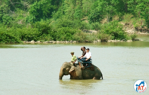 VẺ ĐẸP ĐẦY SỨC SỐNG CỦA MÙA MƯA Ở TÂY NGUYÊN
