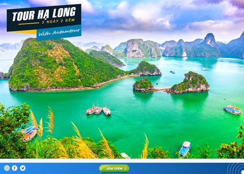 Tour Hạ Long 3 Ngày 2 Đêm, Khởi Hành Hàng Ngày