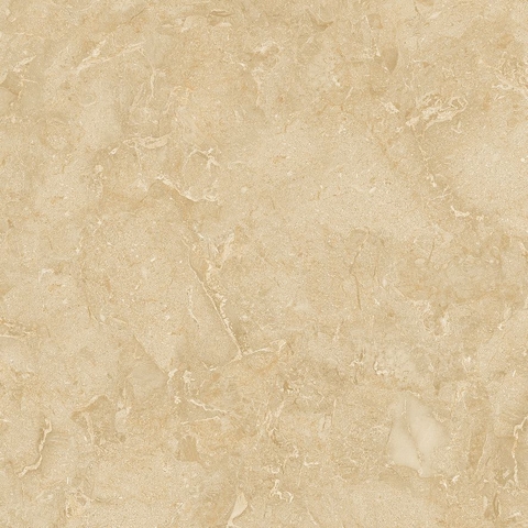 Gạch Prime 50x50cm 02645