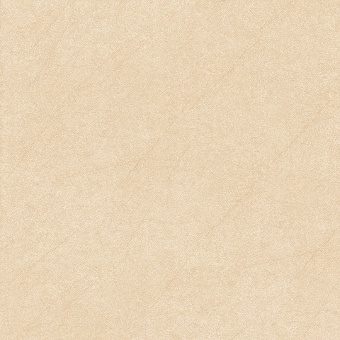 Gạch Prime 50x50cm 02646