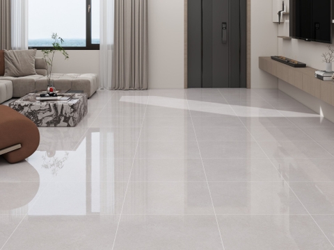 Gạch Prime 60x60cm 22032