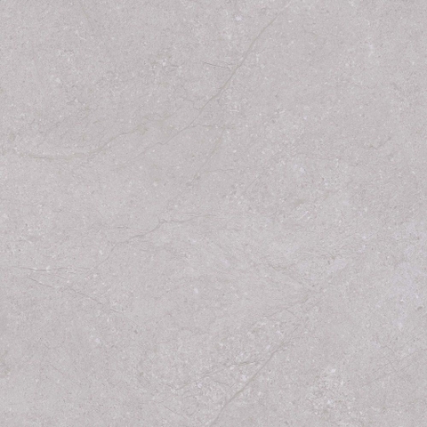 Gạch Prime 60x60cm 22032