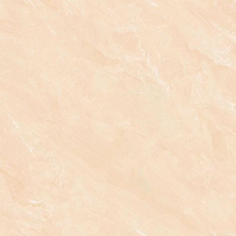 Gạch Prime 60x60cm 22041
