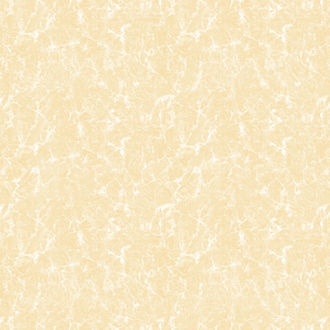 Gạch lát Mikado 50x50 VS5516