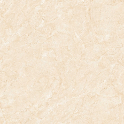 Gạch Prime 100x100cm 21319