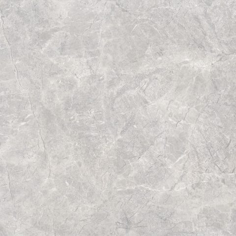 Gạch Prime 100x100cm 21E00