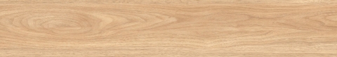 Gạch Prime 20x120cm 17E13