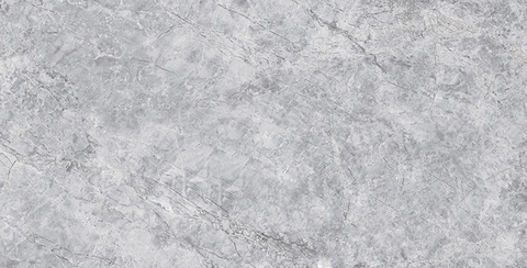 Gạch Prime 60x120cm 12304