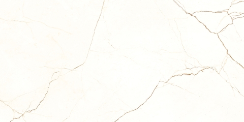 Gạch Prime 60x120cm 20800