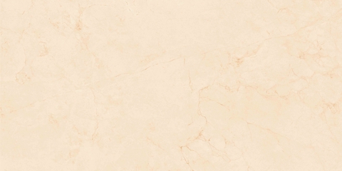 Gạch Prime 60x120cm 20807