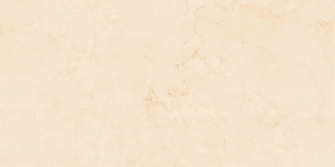 Gạch Prime 60x120cm 20807
