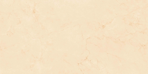 Gạch Prime 60x120cm 20810