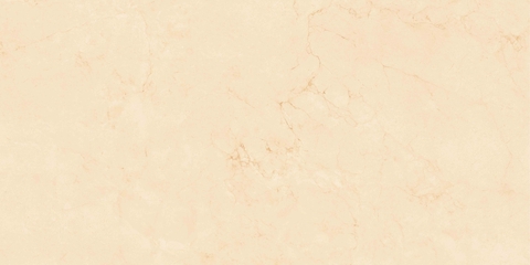 Gạch Prime 60x120cm 20810