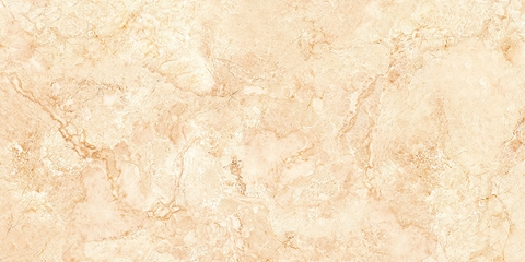 Gạch Prime 60x120cm 27305