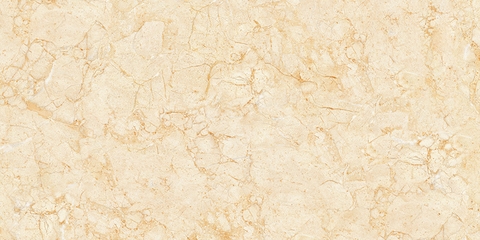 Gạch Prime 60x120cm 27306