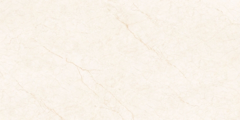Gạch Prime 60x120cm 27E68