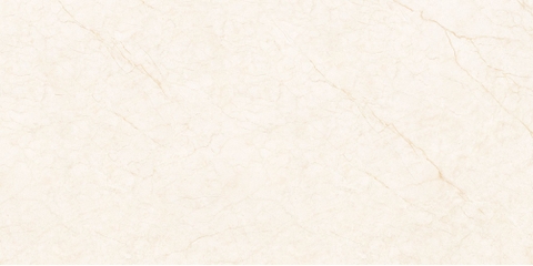 Gạch Prime 60x120cm 27E68