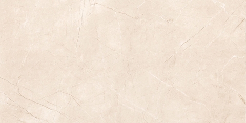 Gạch Prime 60x120cm 27E81
