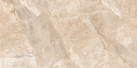 Gạch Prime 60x120cm 44E11