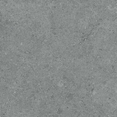 Gạch Prime 60x60cm 24009