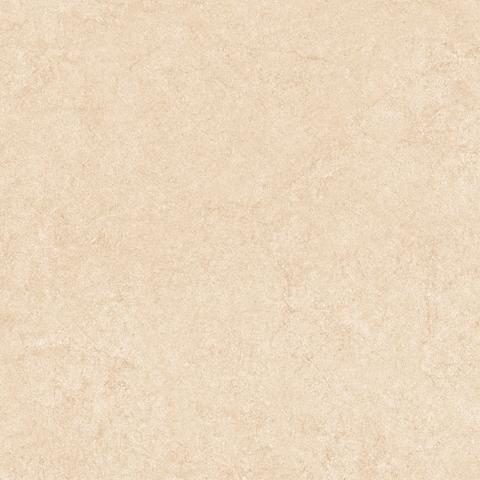 Gạch Prime 60x60cm 25005