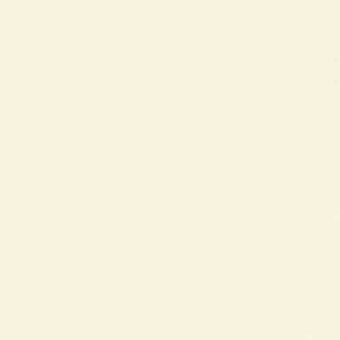 Gạch Prime 60x60cm 29171