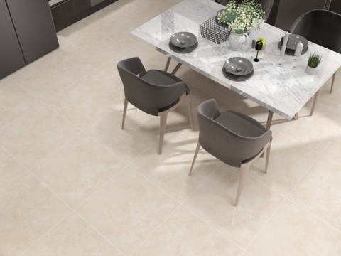 Gạch Prime 60x60cm 29E28