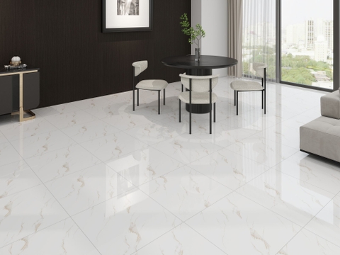 Gạch Prime 60x60cm 29E45