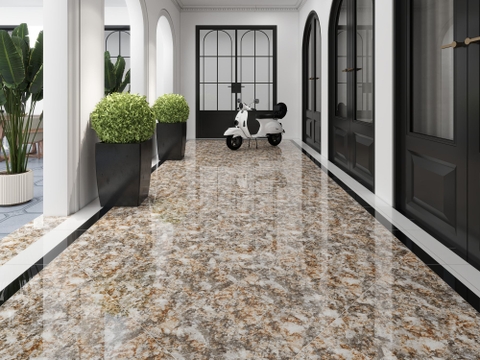 Gạch Prime 60x60cm 29E48