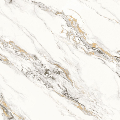 Gạch Prime 60x60cm 29E53