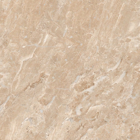Gạch Prime 60x60cm 29E56