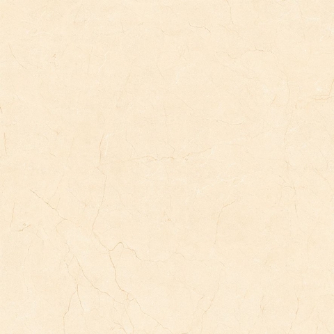 Gạch Prime 60x60cm 29E60