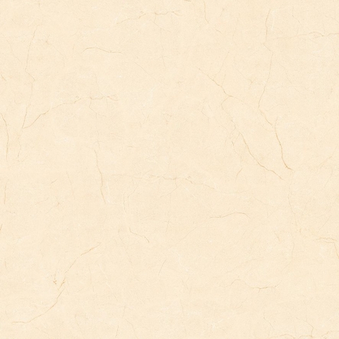 Gạch Prime 60x60cm 29E60