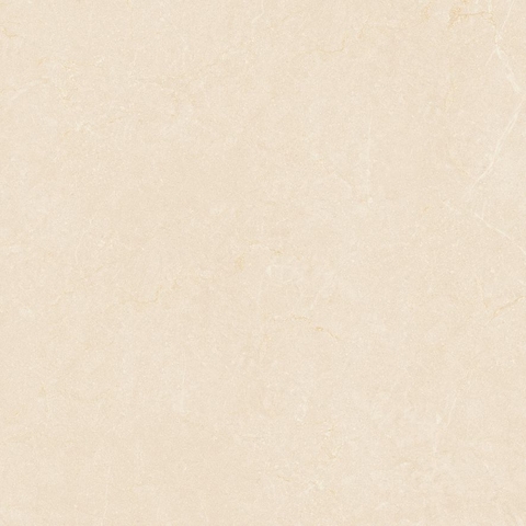 Gạch Prime 60x60cm 29E66