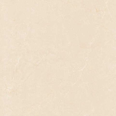 Gạch Prime 60x60cm 29E66