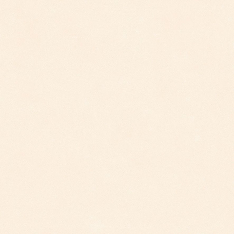 Gạch Prime 60x60cm 29E75