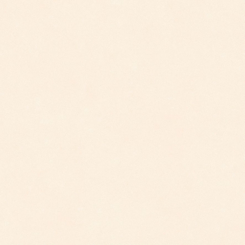 Gạch Prime 60x60cm 29E75
