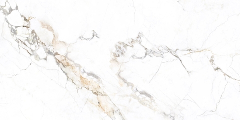 Gạch Prime 80x160cm 80004