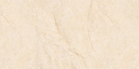 Gạch Prime 80x160cm 80006