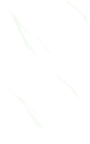 Gạch Prime 25x40cm 15198