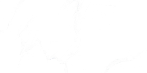 Gạch Prime 30x60cm 09235